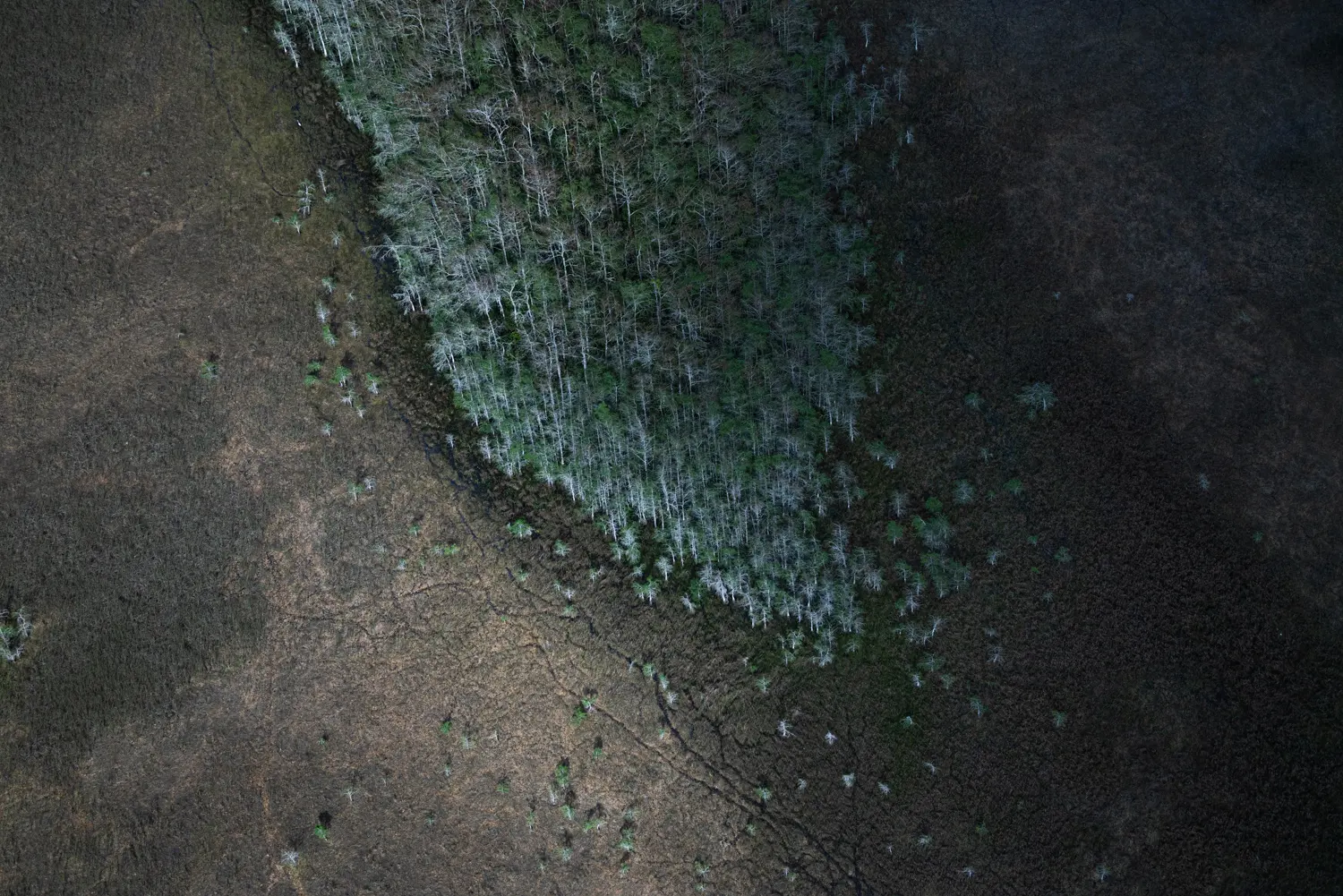 NPS Photo by Ian Wilson