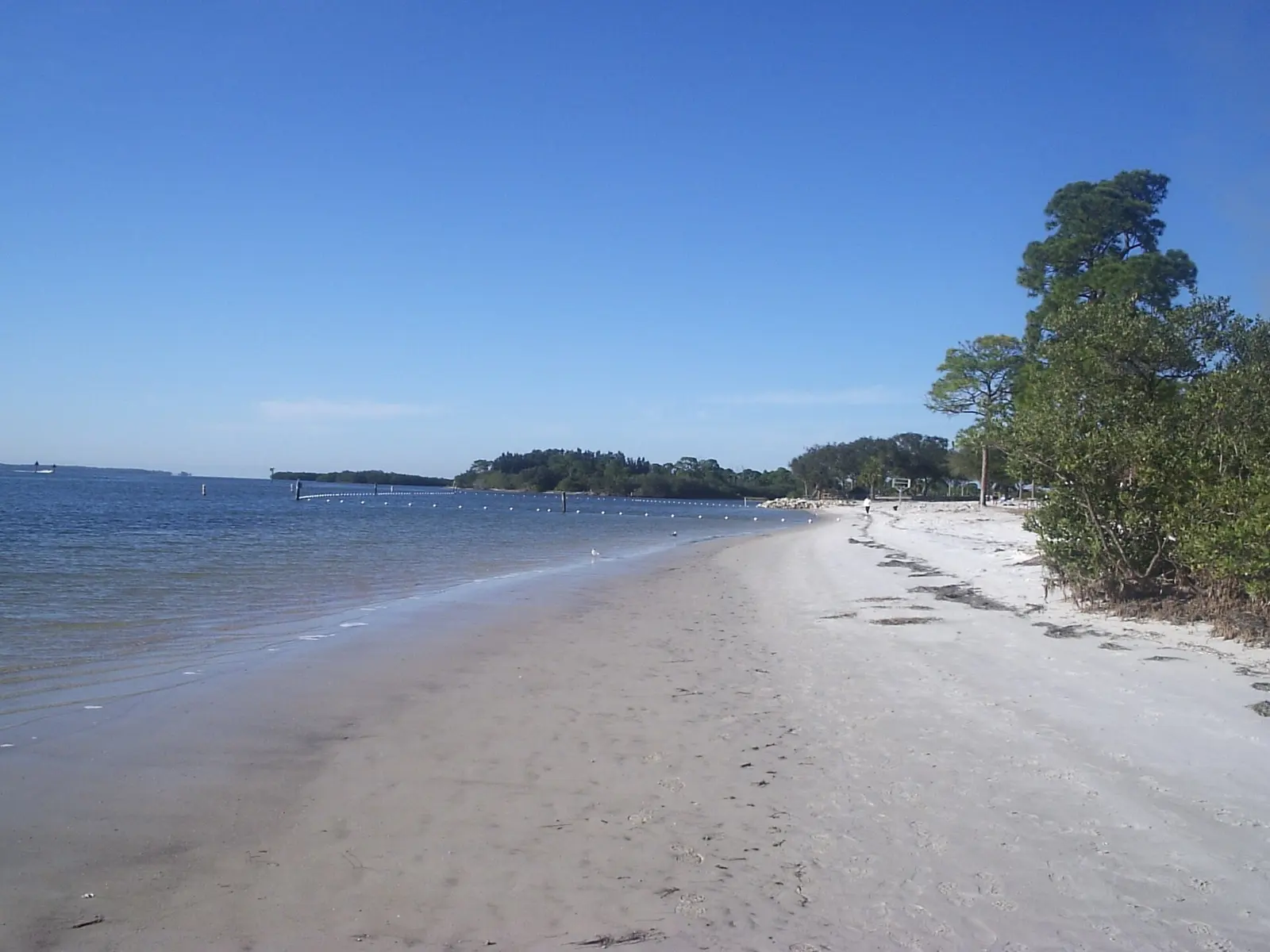 Taken by me, Mikereichold 16:11, 27 January 2006 (UTC), at Anclote River Park, a Pasco County park, Pasco County, Florida. Picture shows southern beach area along the Anclote...