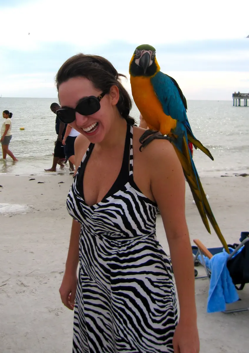 Blue-and-yellow Macaw perching on a woman's left shoulder on Fort Myers Beach, Florida, USA.