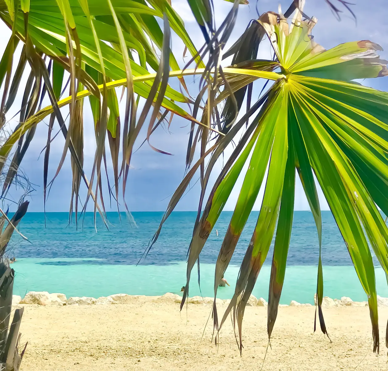 Bahia Honda Florida Keys beach