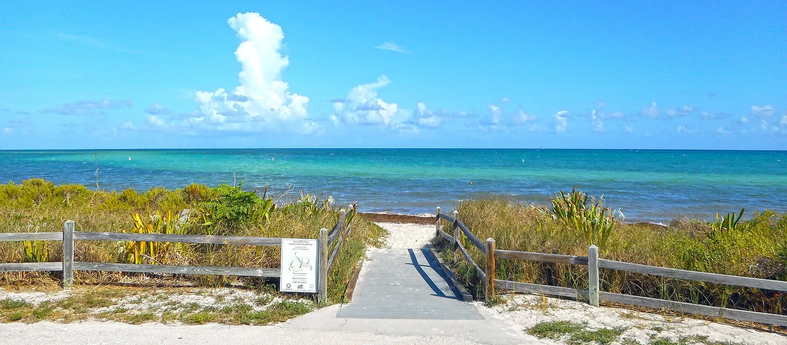 Beach access ramp