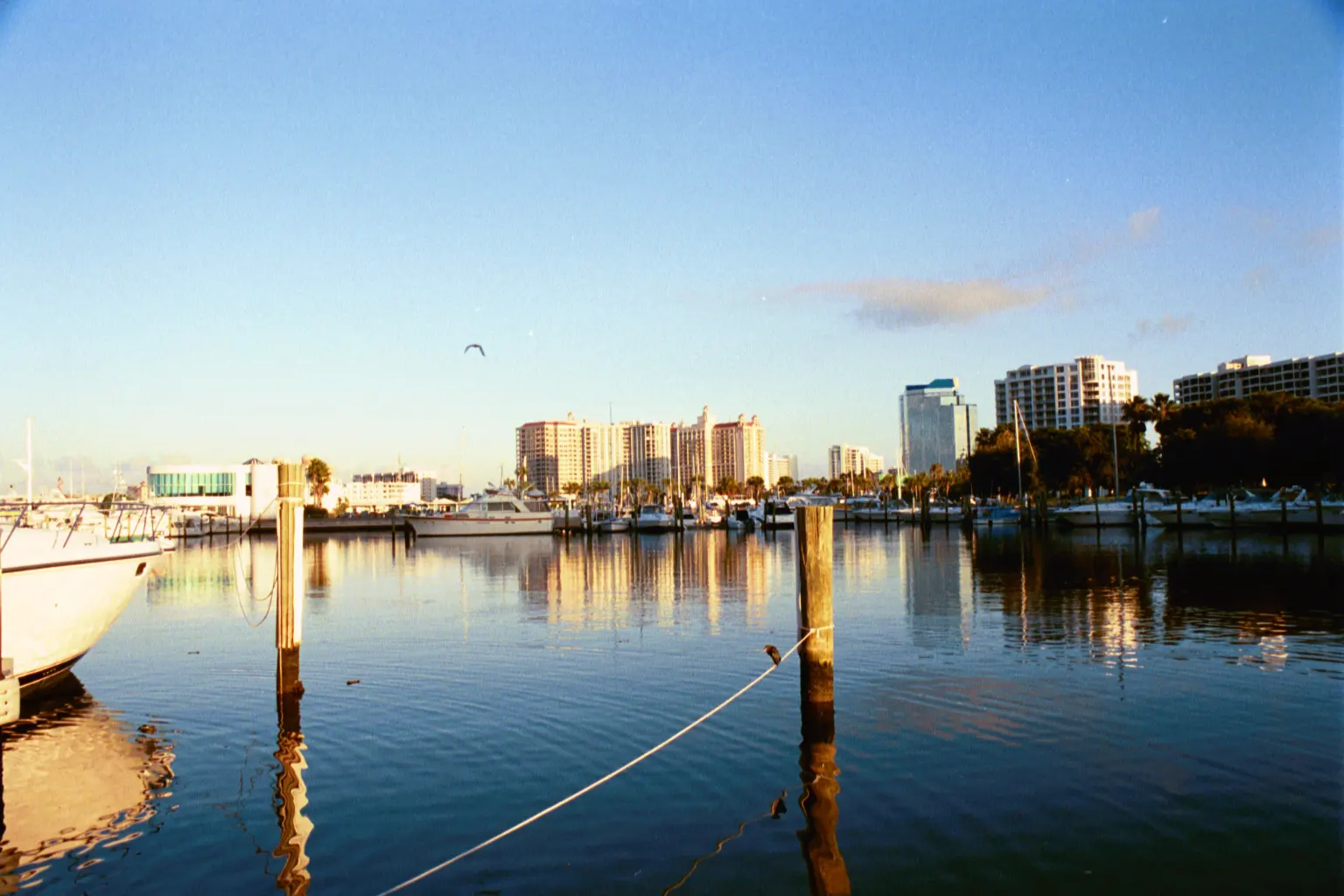 Early morning sunrise over Sarasota, FL Bayfront Park Marina