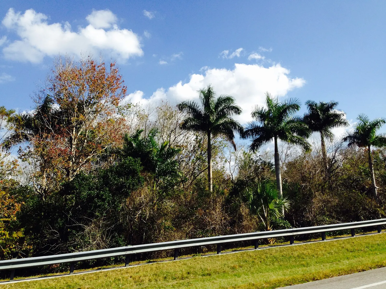 Big Cypress National Preserve, Florida