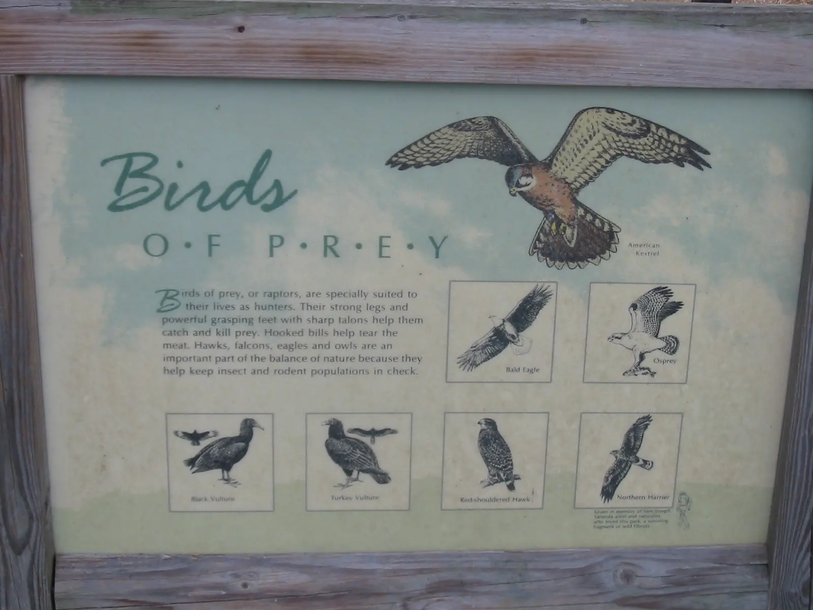 Taken from the bird walk at Myakka State Park in Florida.