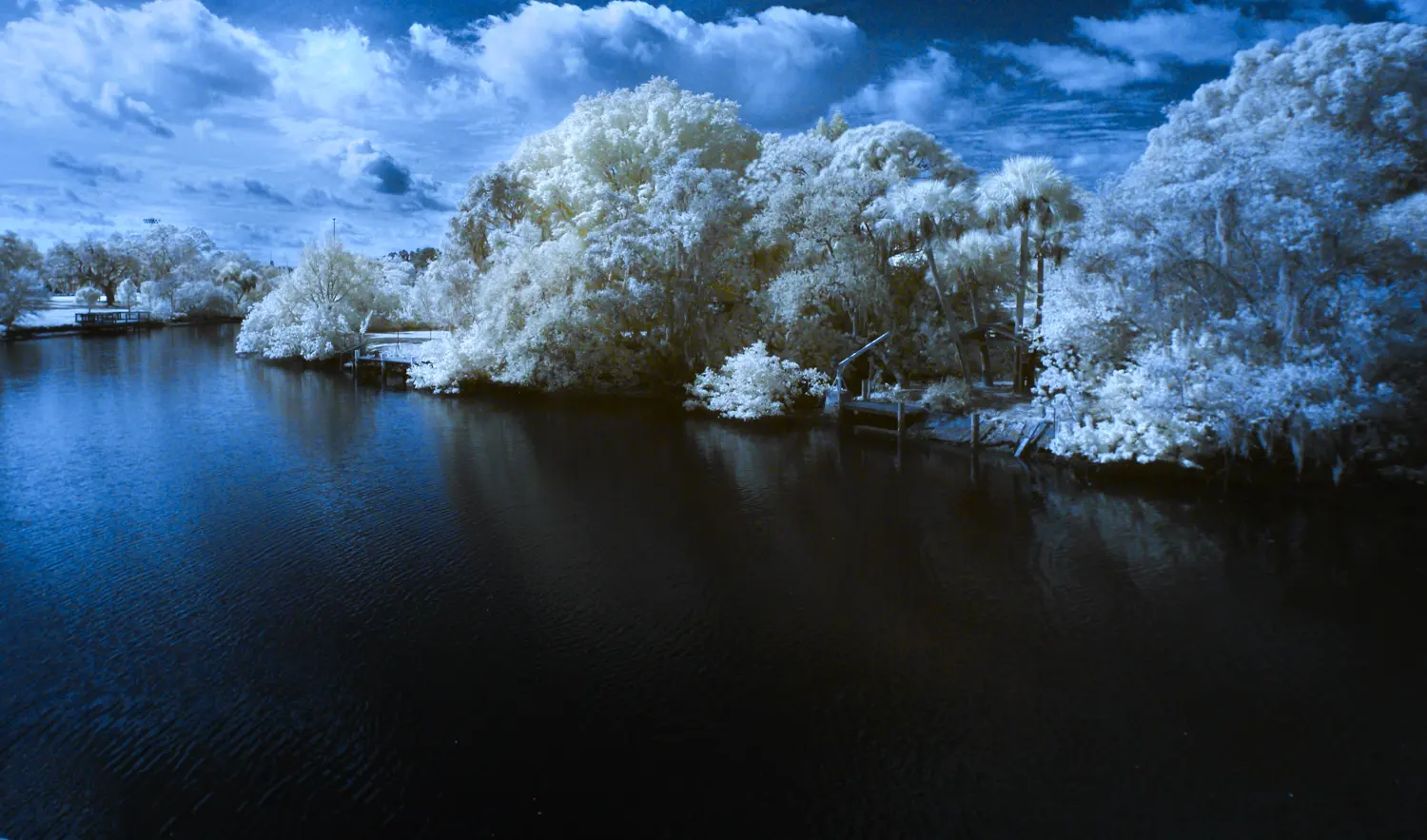 total, full tilt faux color IR 720nm crazy black water and yellow trees this is actually phillipi creek in sarasota, florida 'old black water, keep on rollin'' - doobie brothers