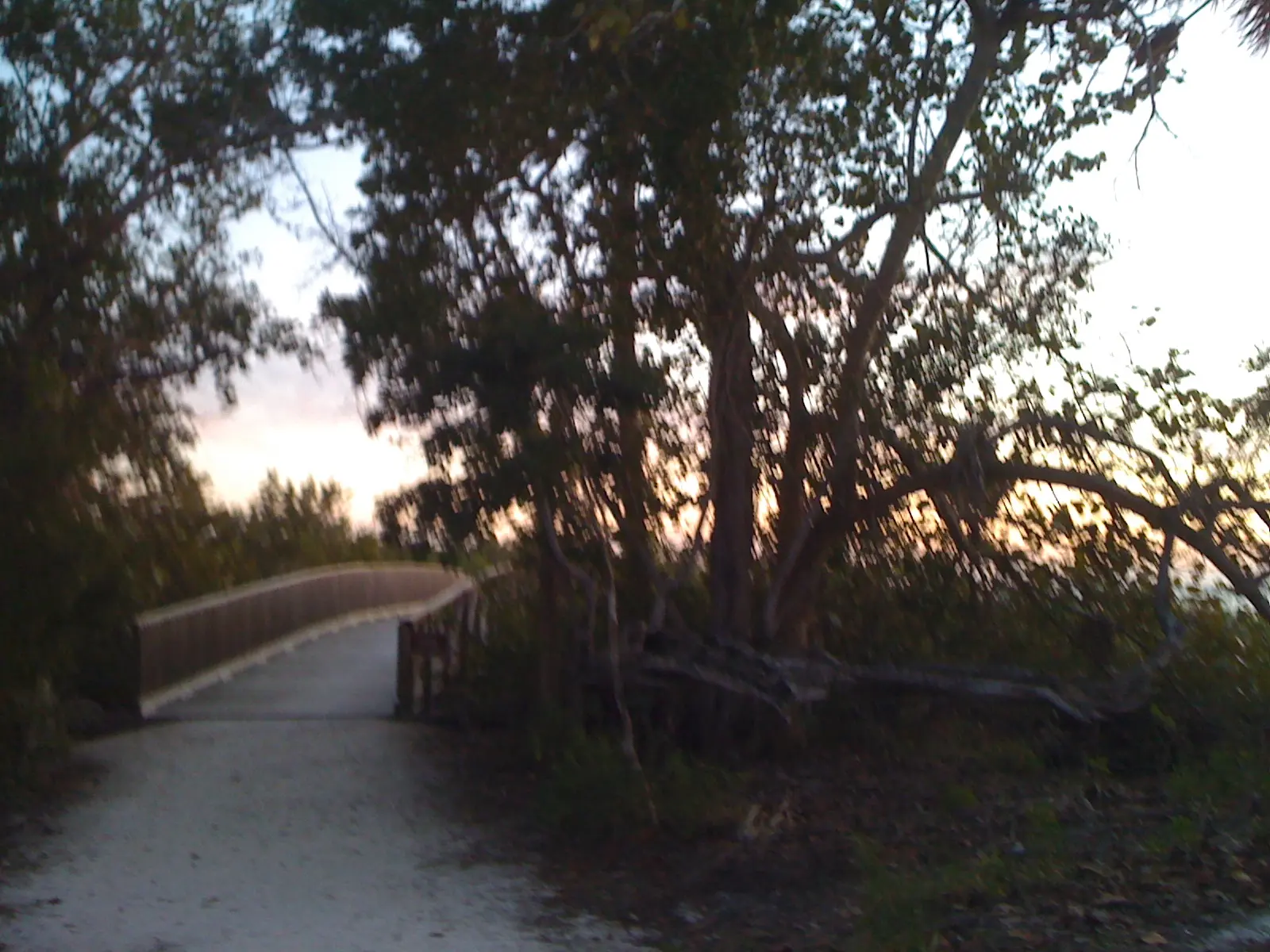 Bonita Springs, FL, USA