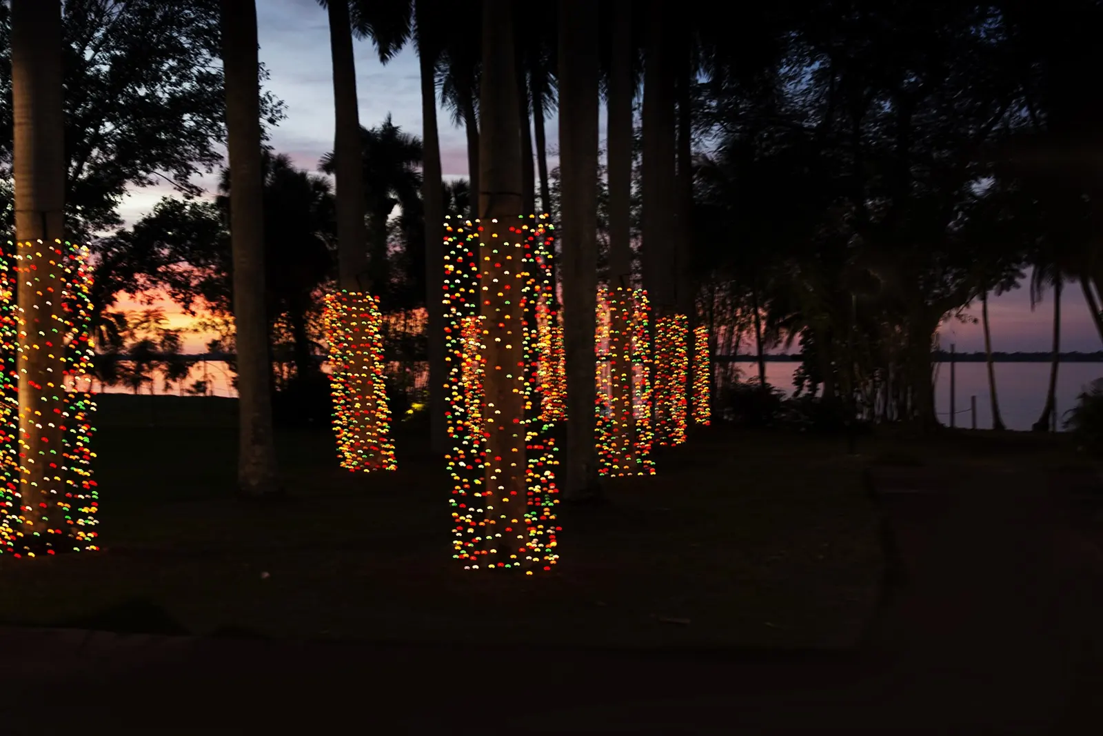 Christmas palms edison and ford estates