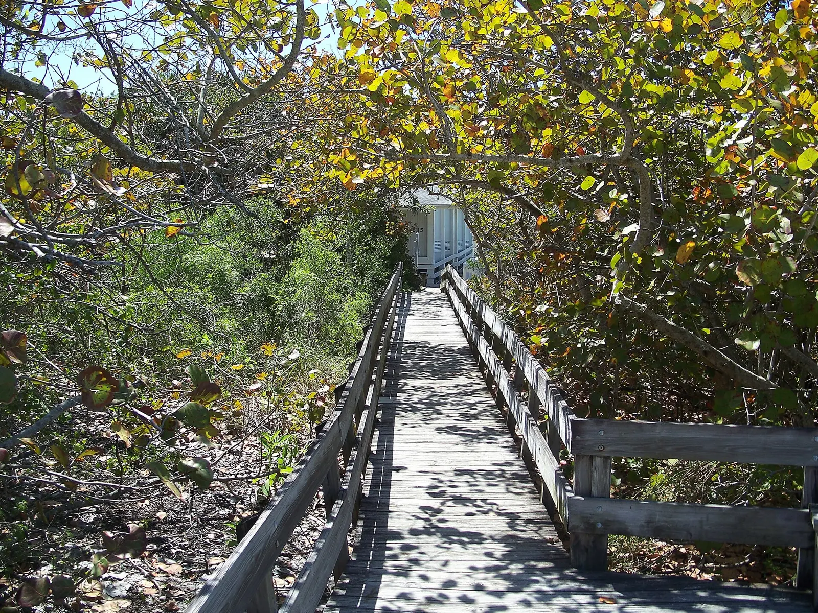 Collier County, Florida : Delnor-Wiggins Pass State Park : Boardwalk.