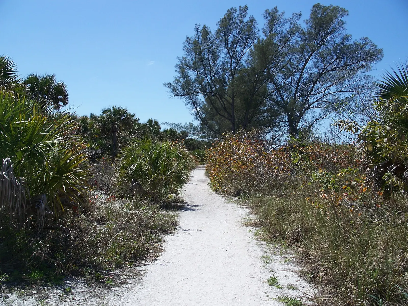 Collier County, Florida : Delnor-Wiggins Pass State Park : Path.