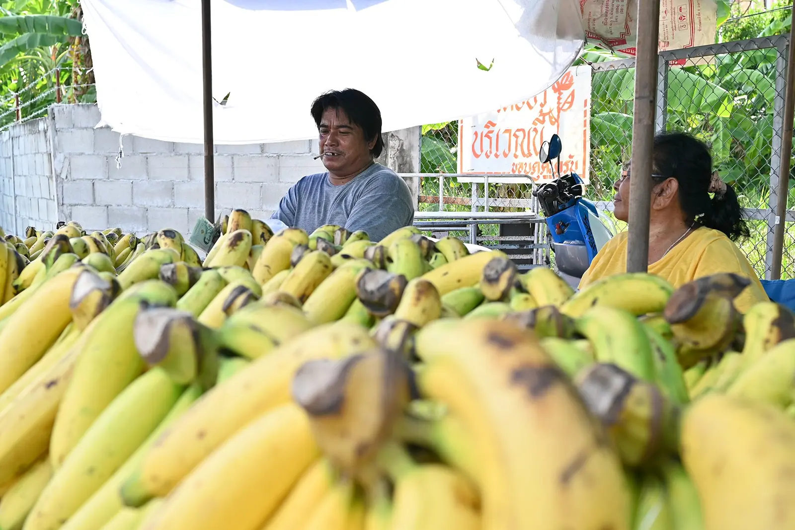 This photo shows a market stall or small shop selling bananas. In the foreground, there's a large display of ripe yellow bananas arranged in bunches. The setting appears to be...