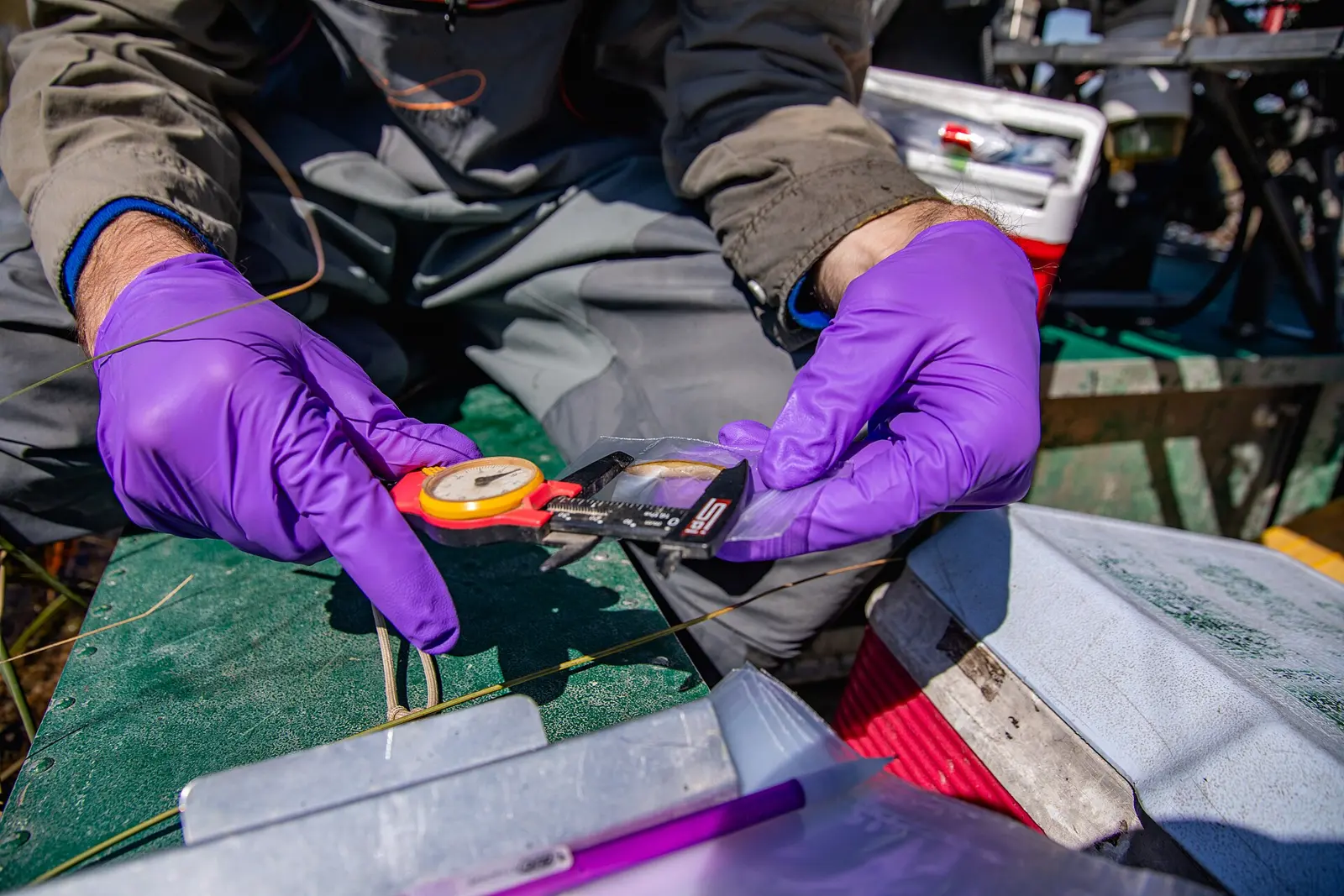 The Dragonfly Mercury Project (DMP) is a nationwide study that works with citizen scientists and community volunteers to collect dragonfly larvae for mercury analysis. Mercury...