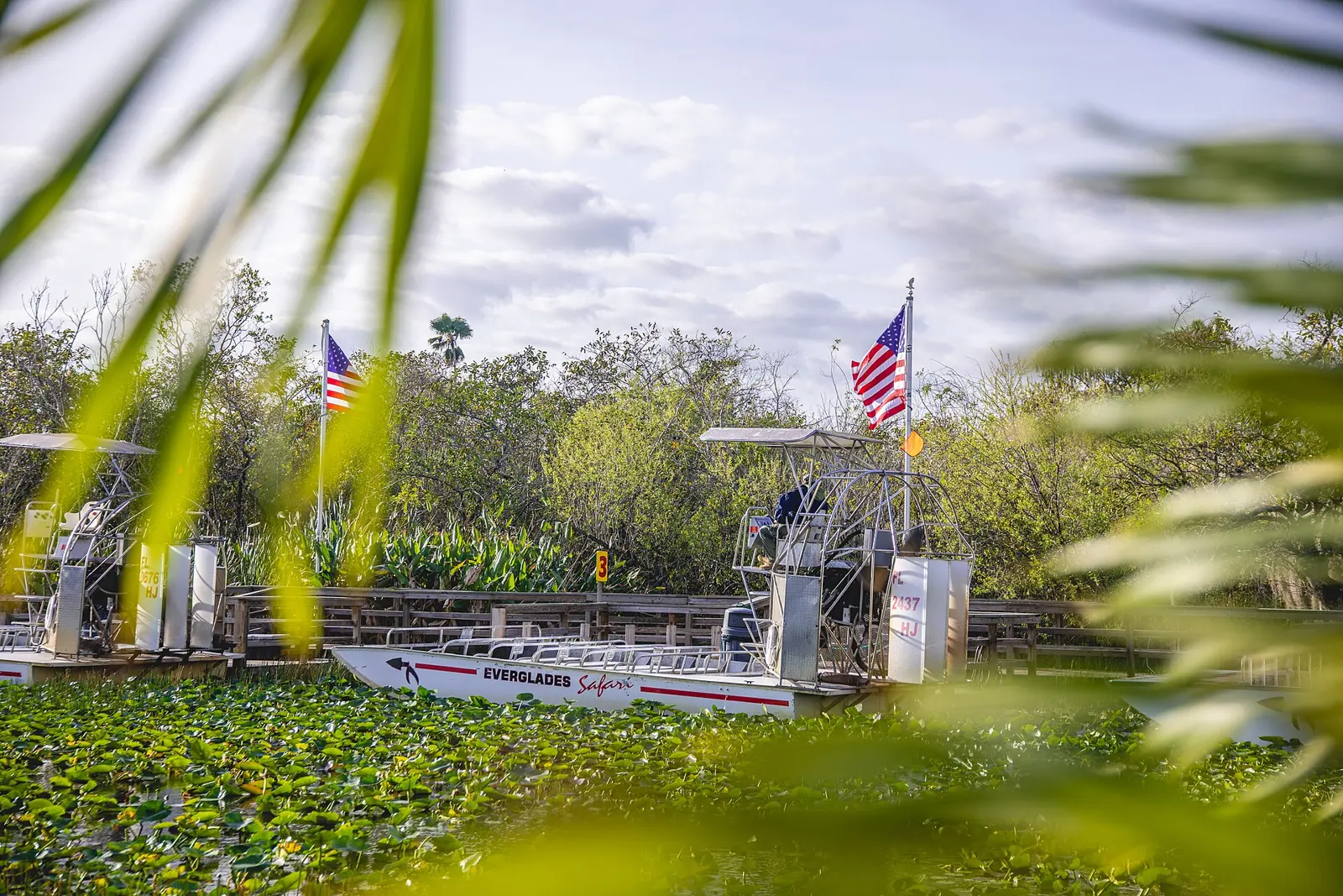 There are many ways to explore the Park. Whether it's on a Ranger-led program, a tour with a commercial guide or with the Everglades Institute, an airboat ride or tram tour, be...