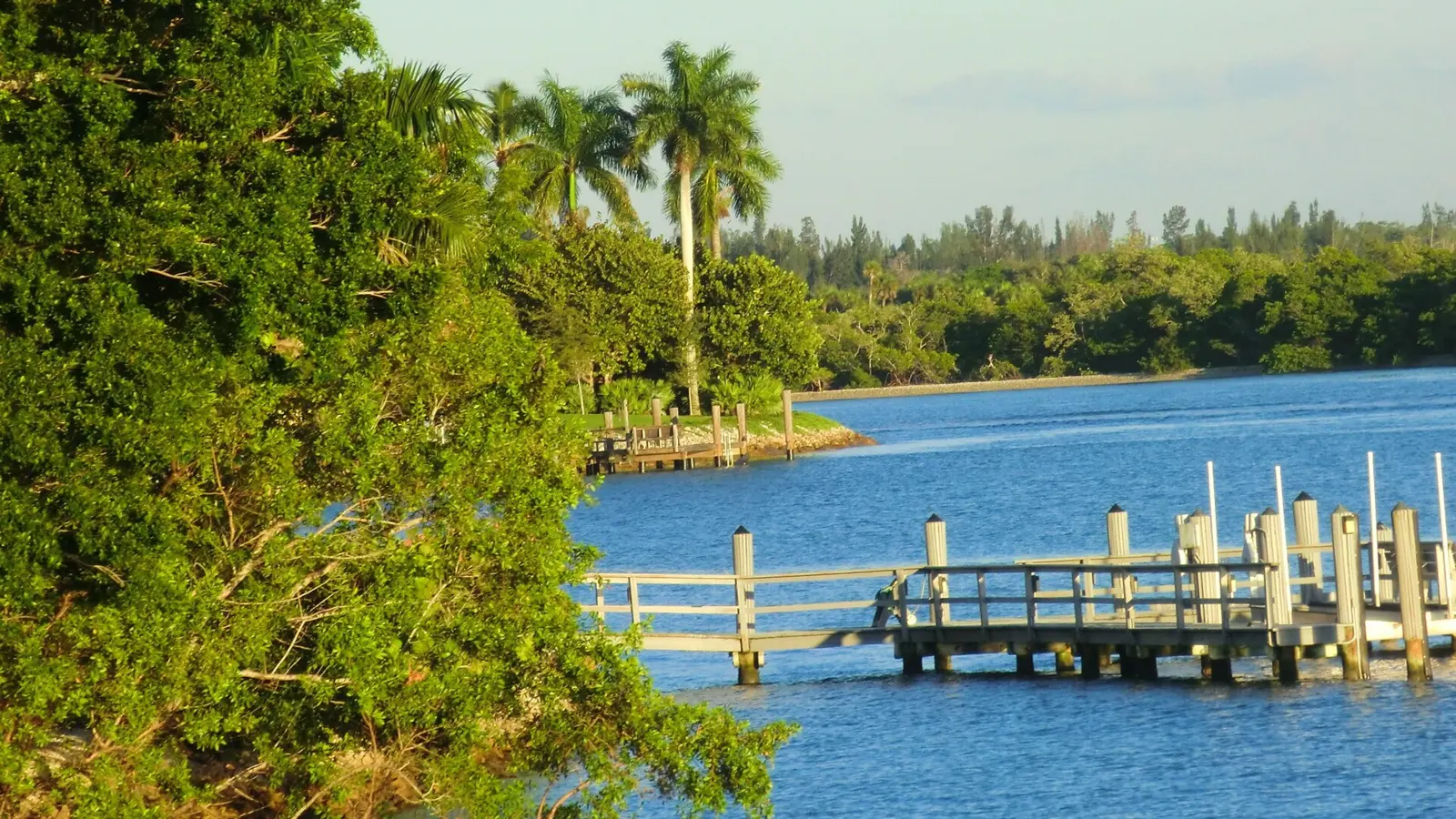 The Corkscrew Swamp Sanctuary is known not only for its 11.000 acres / 45 km2 of landscape and wildlife, but for a two-and-a-half-mile-long boardwalk winding through the sanctuary.