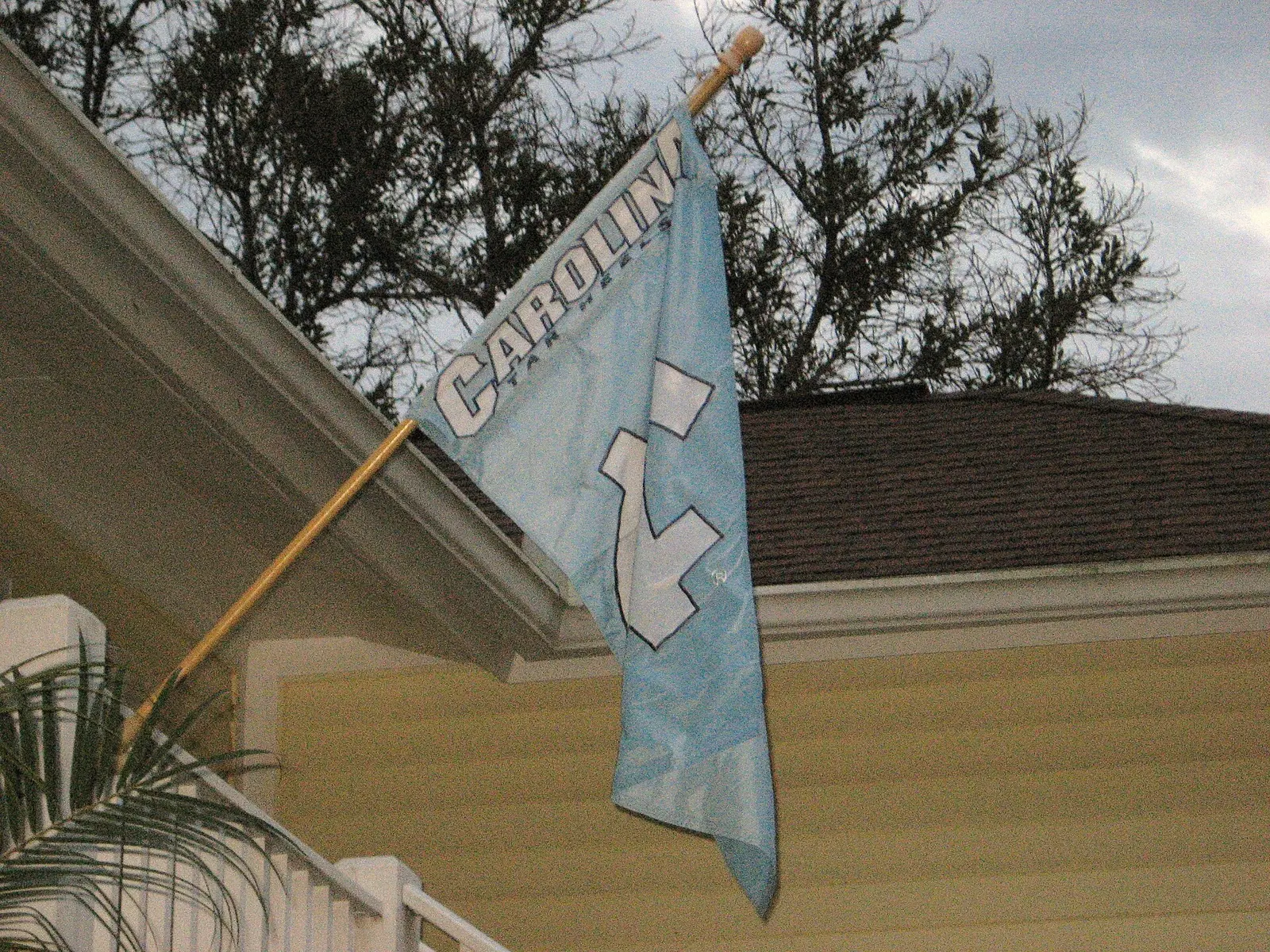 Florida Tar Heel