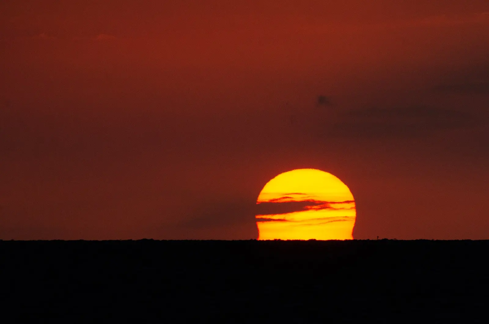 Sunset over Naples Pier