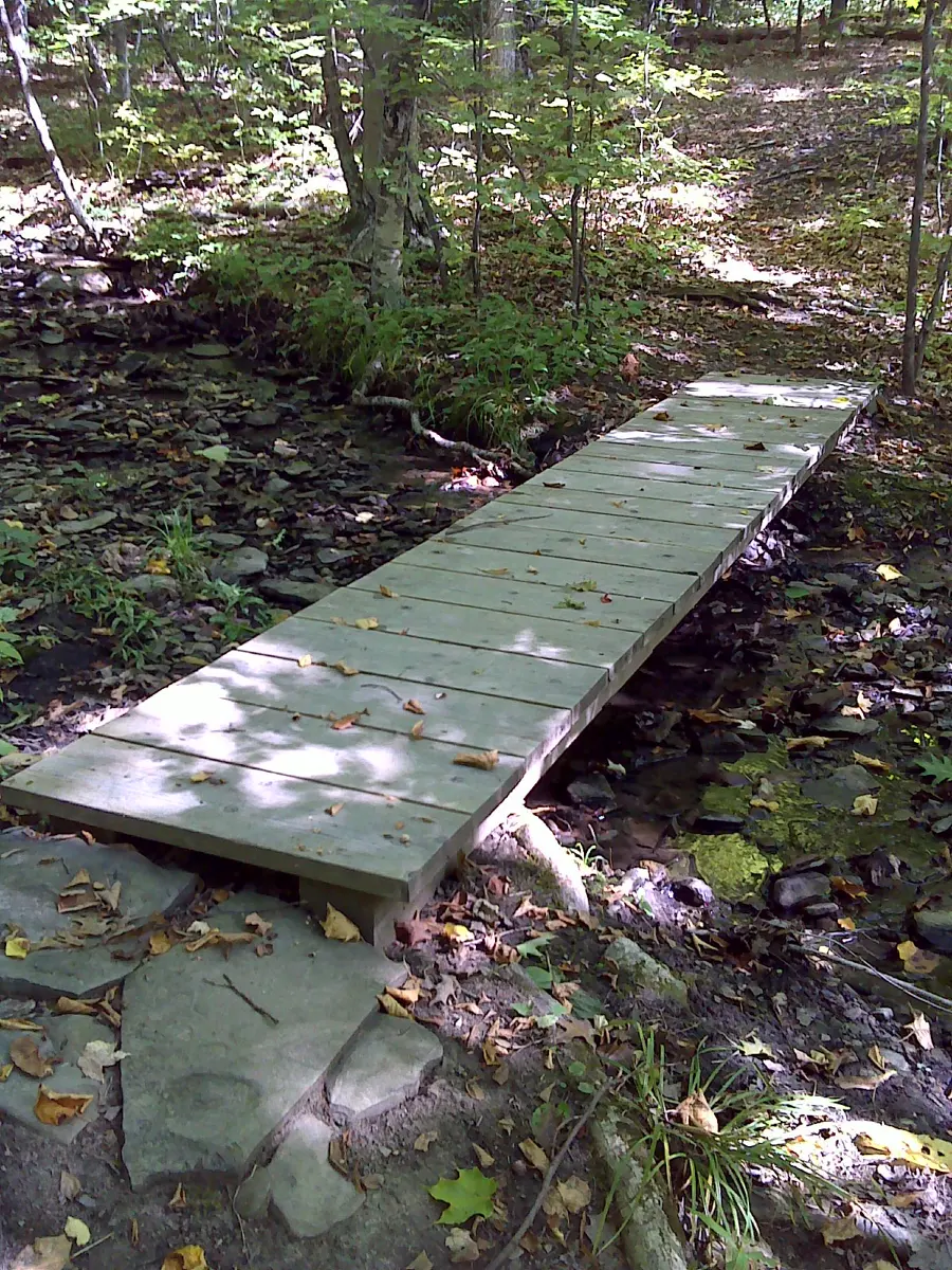 FLT B1 Mile 2.1 + 0.09 blue trl - Beaver Pond Lean-to Puncheon, 2x10x32 deck, 2 6x6 stringers 16' long, rock sills, built 2011