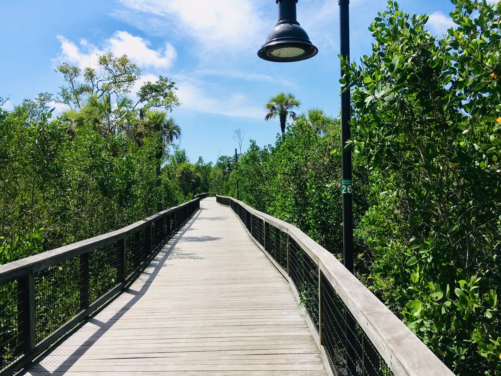 Gordon River Greenway in Naples, Florida