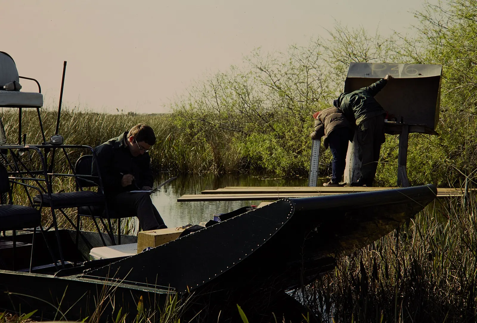 NPS employees on an airboat in the Everglades National Park. Keywords: nps staff; plant; tree; boat; river; NPS Personnel; (NPS History Collection Themes); Flora; Transportation
