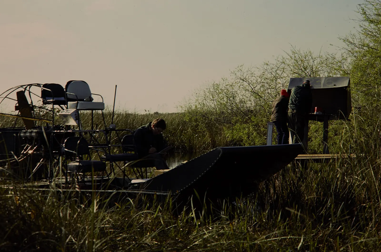 People riding an airboat in Everglades National Park. Keywords: nps staff; boat; plant; tree; NPS Personnel; (NPS History Collection Themes); Flora; Transportation