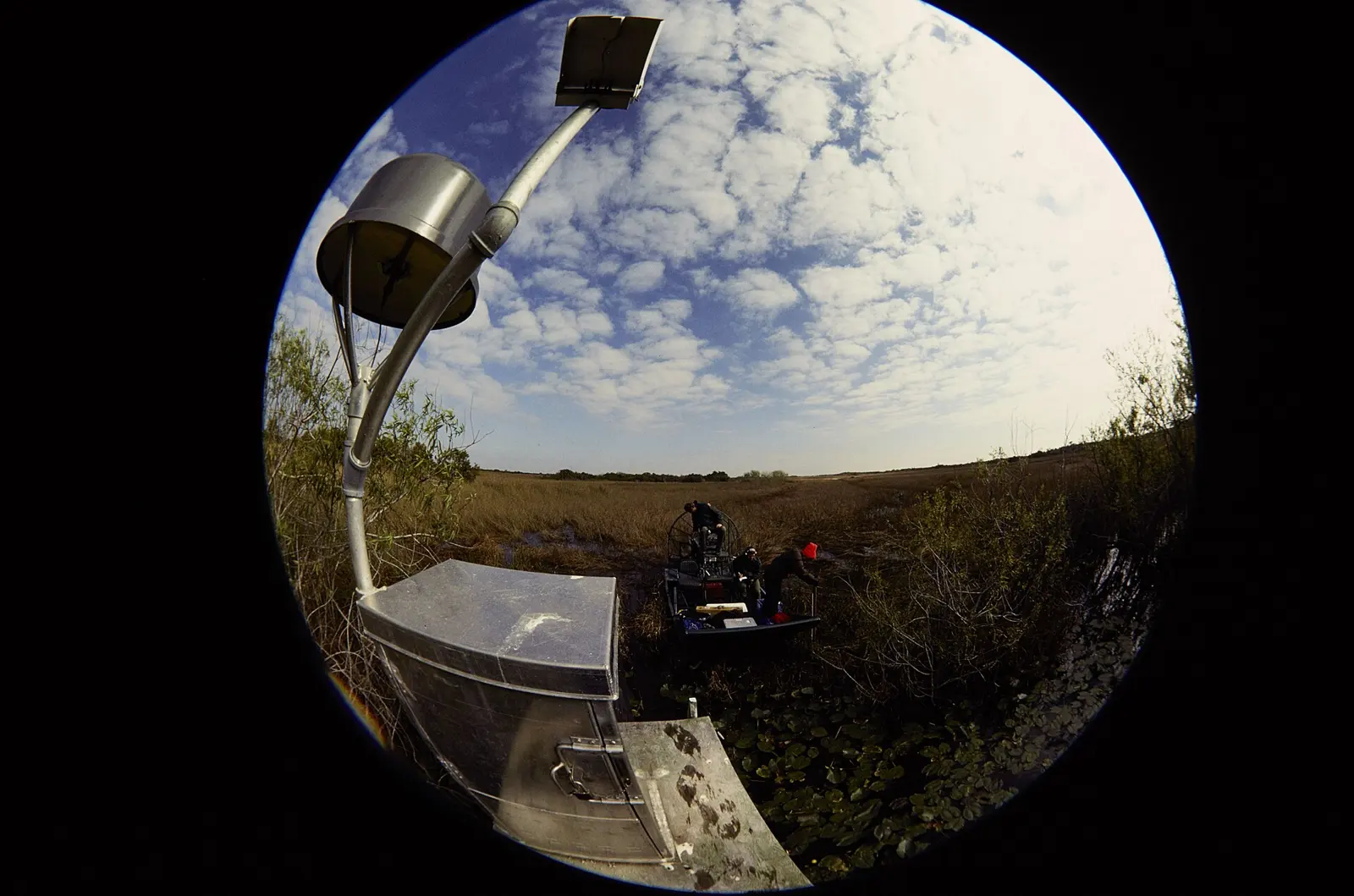 NPS employees on an airboat in Everglades National Park. Keywords: nps staff; boat; plant; tree; river; NPS Personnel; (NPS History Collection Themes); Flora; Transportation