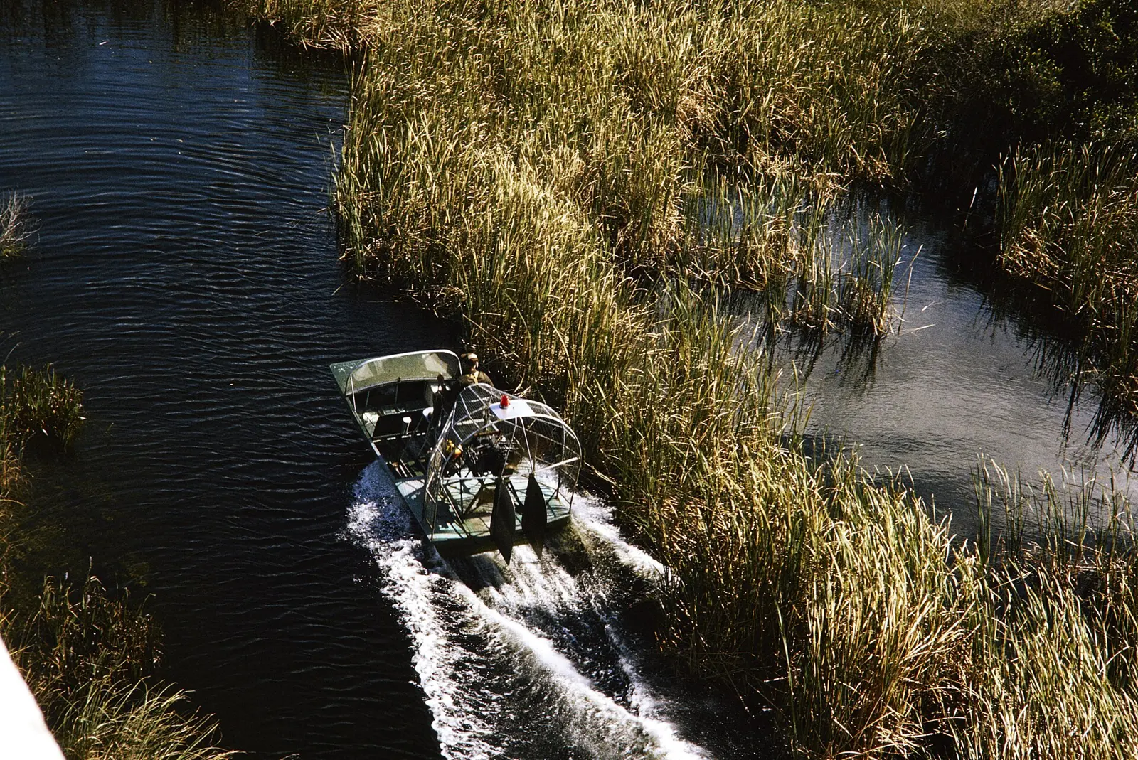 U.S. Park Police riding on a park visitor protection law enforcement airboat in Everglades National Park. Keywords: plant; tree; ocean; airboat; u.s. park police; NPS...