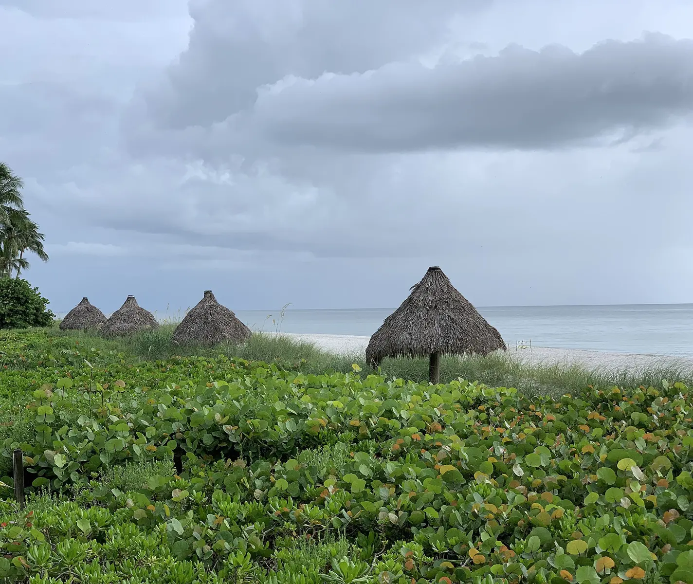 Huts at Lowdermilk Park by the beach in Naples, FL.