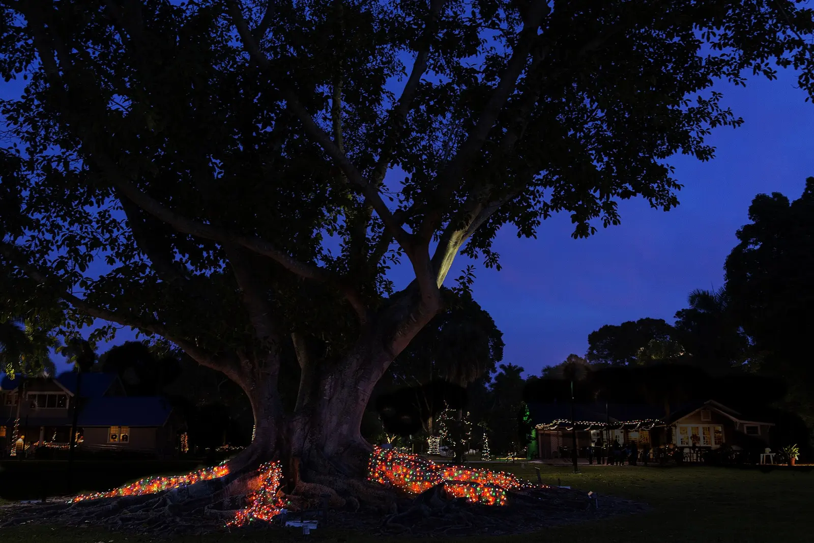 live oak christmas ford estate ft myers