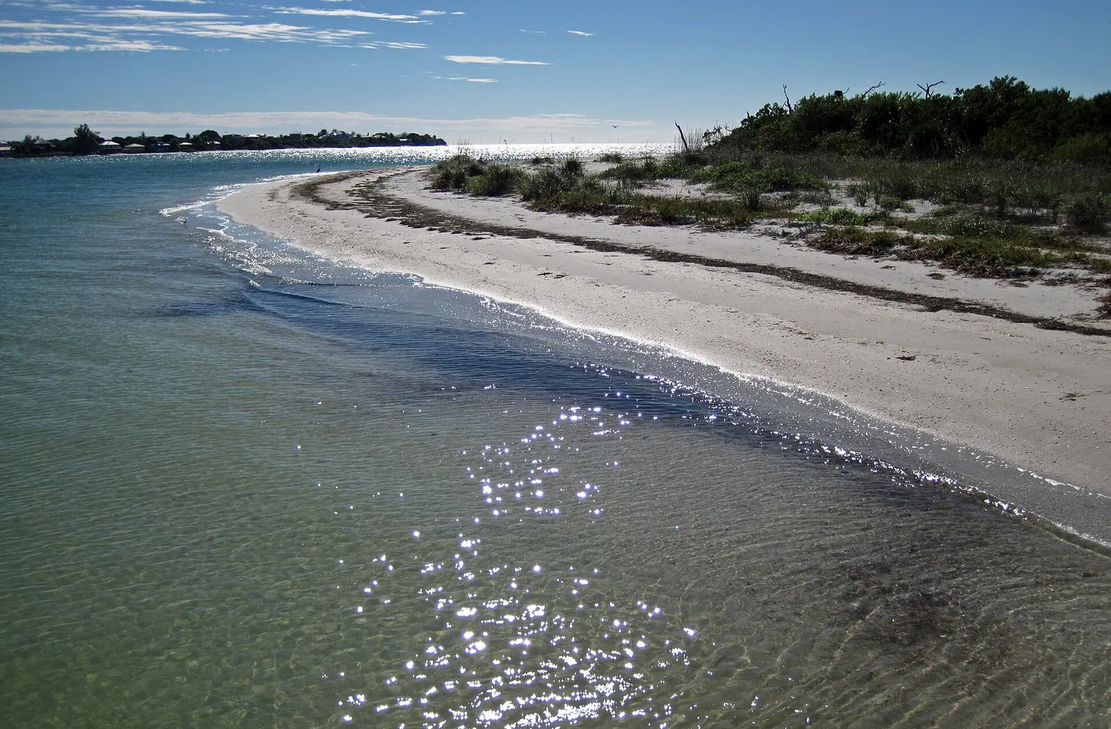 Marine beach at the southern tip of Cayo Costa Island, Florida, USA. (looking ~south) (January 2016) Orientation: Pine Island Sound is to the left; Captiva Pass is straight...