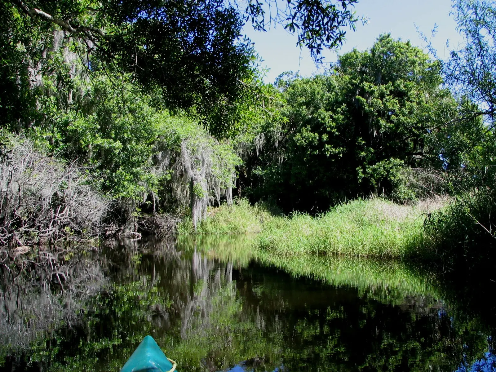 Kayaking on the Myakka River Florida, USA