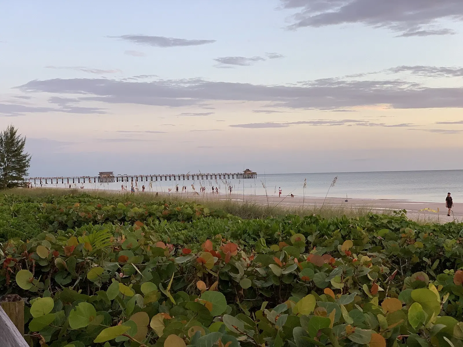 Naples FL pier as seen at sunset. Viewed from 8th Avenue beach.