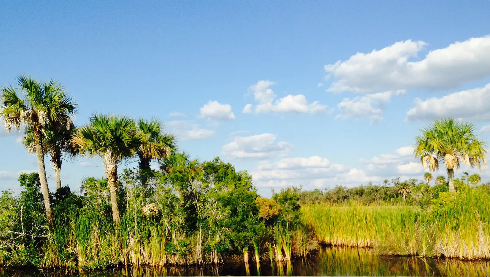 Naples-Marco Island, FL, FL, USA