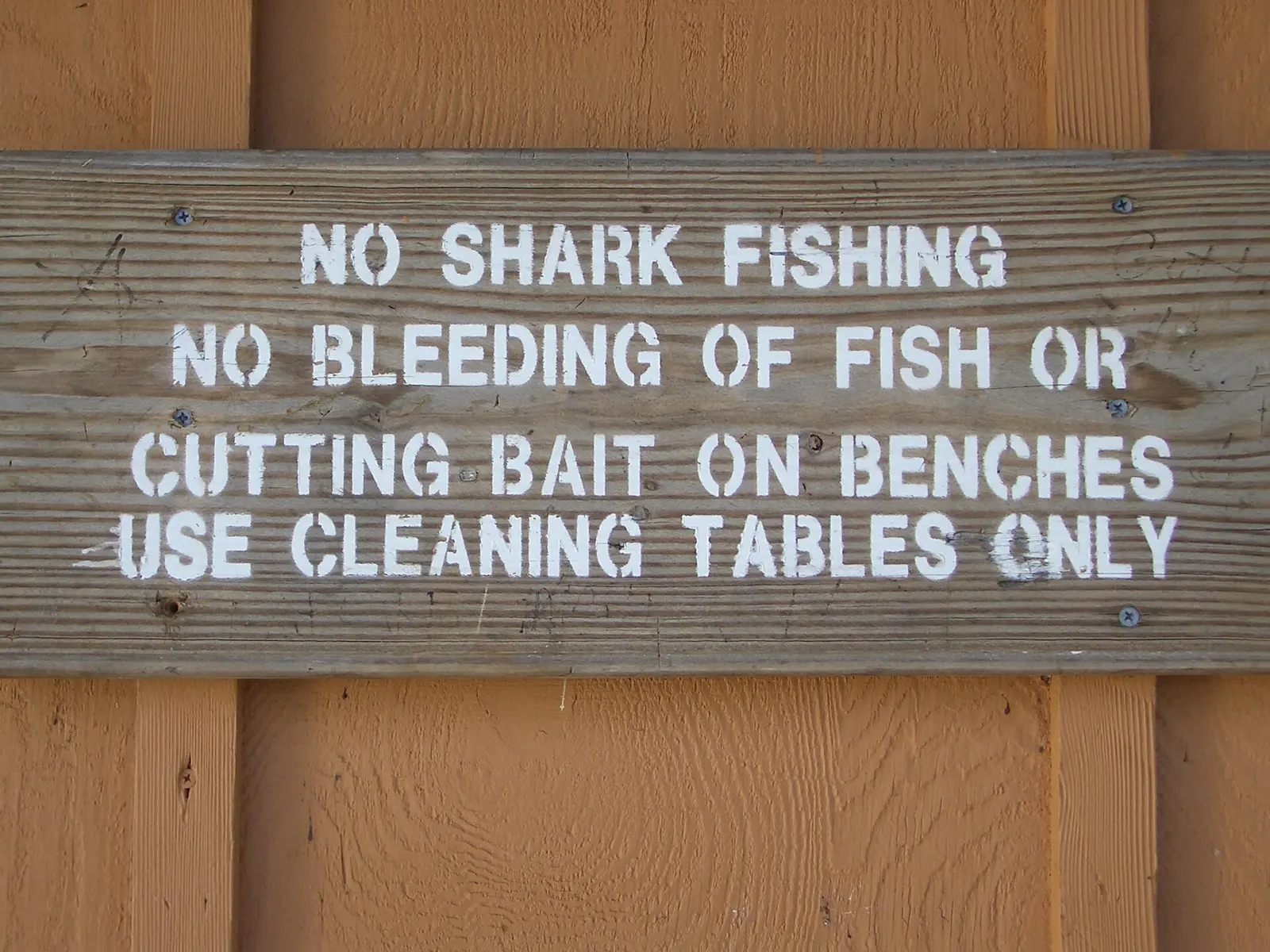 No Shark Fishing - Naples Beach Pier