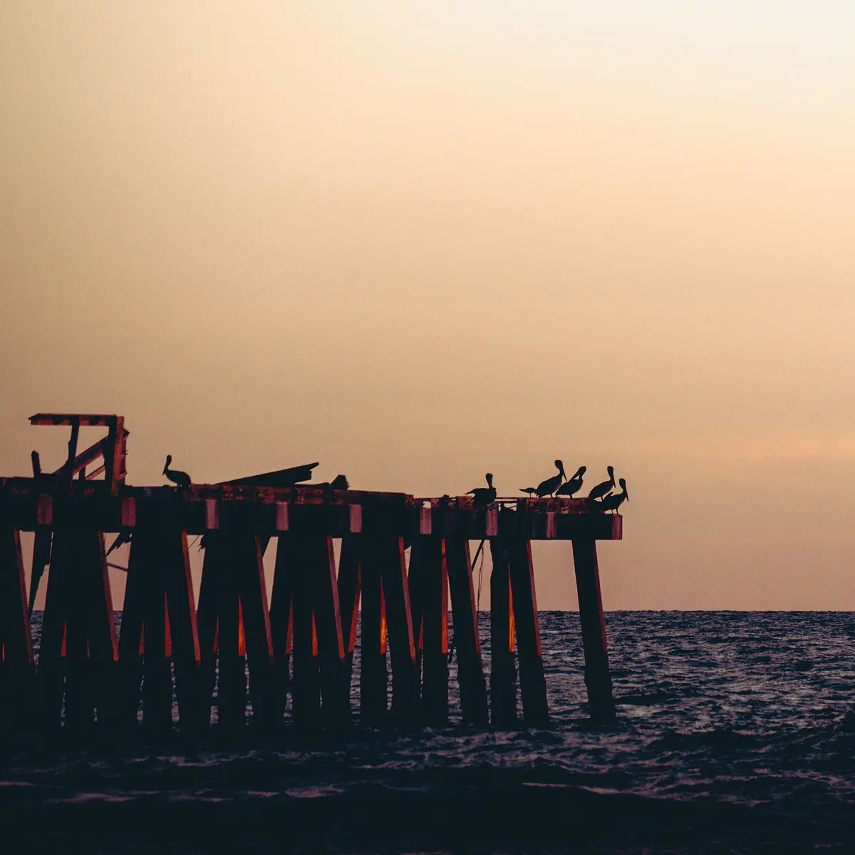 I saw on google maps that the Naples Pier was closed and getting repaired after Hurricane Milton. I figured that since that happened October 2024, that maybe repairs have...