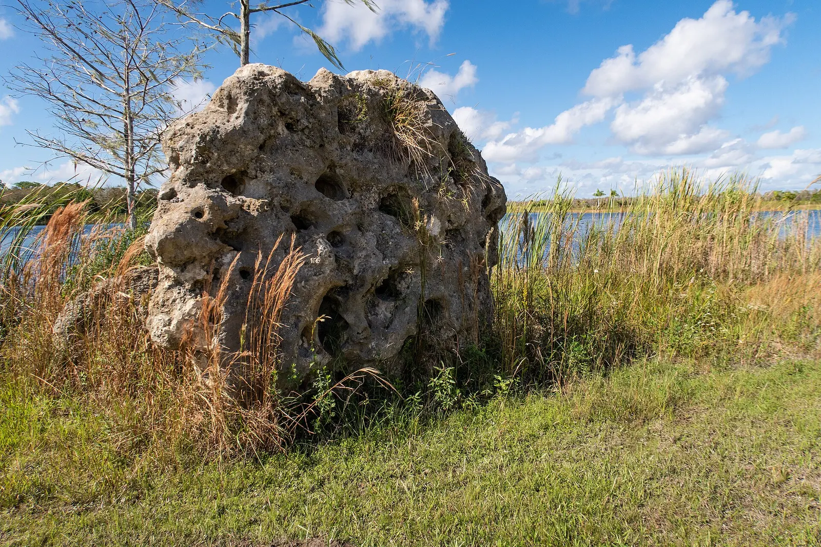 Fakahatchee State Preserve in Naples, Florida
