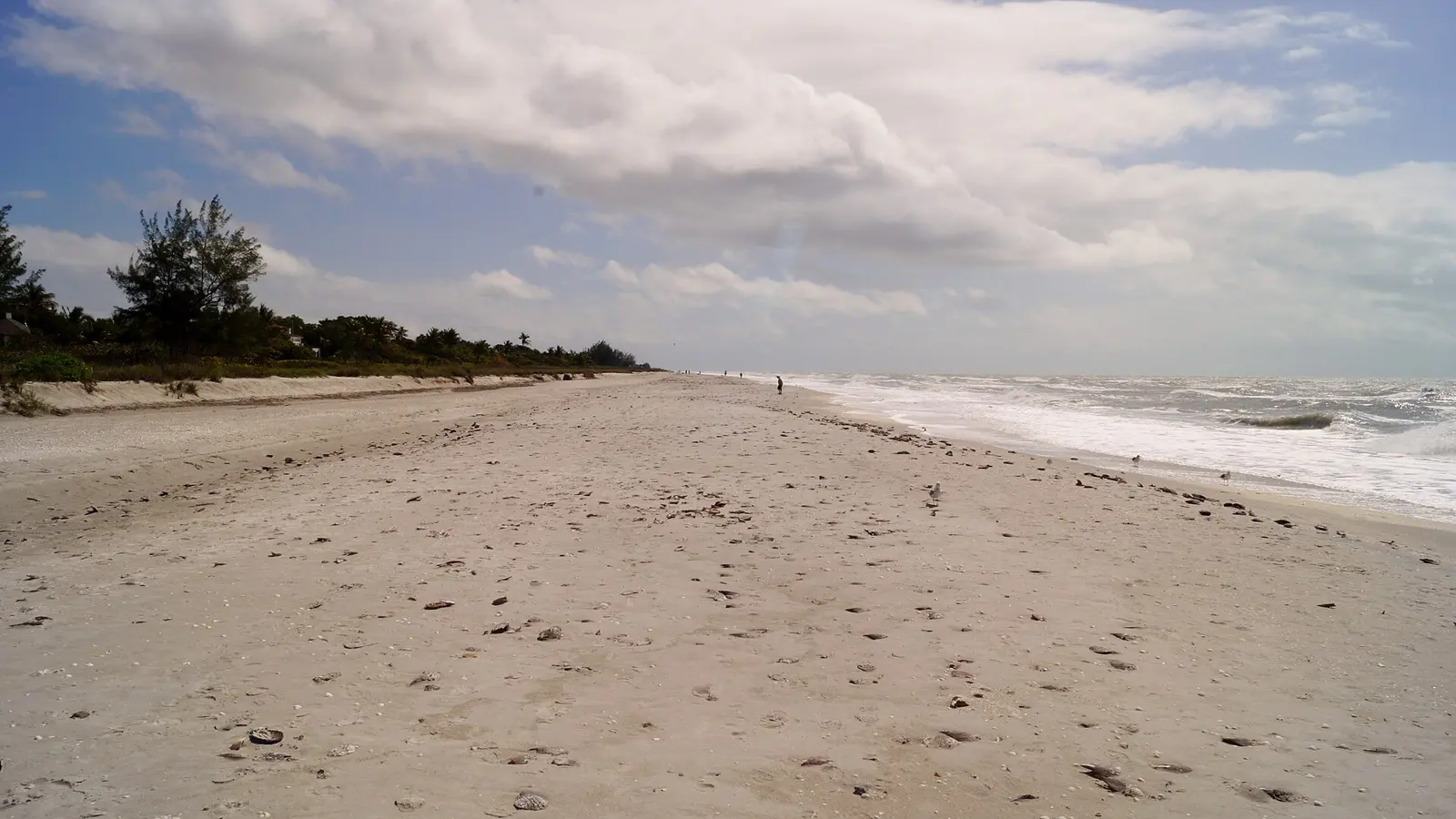 Sanibel S