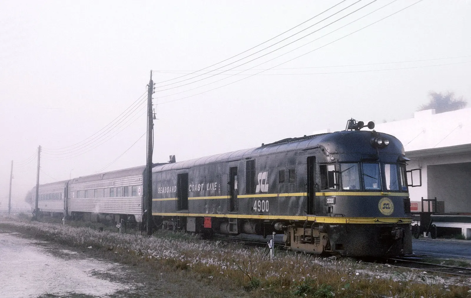 A Roger Puta Photograph