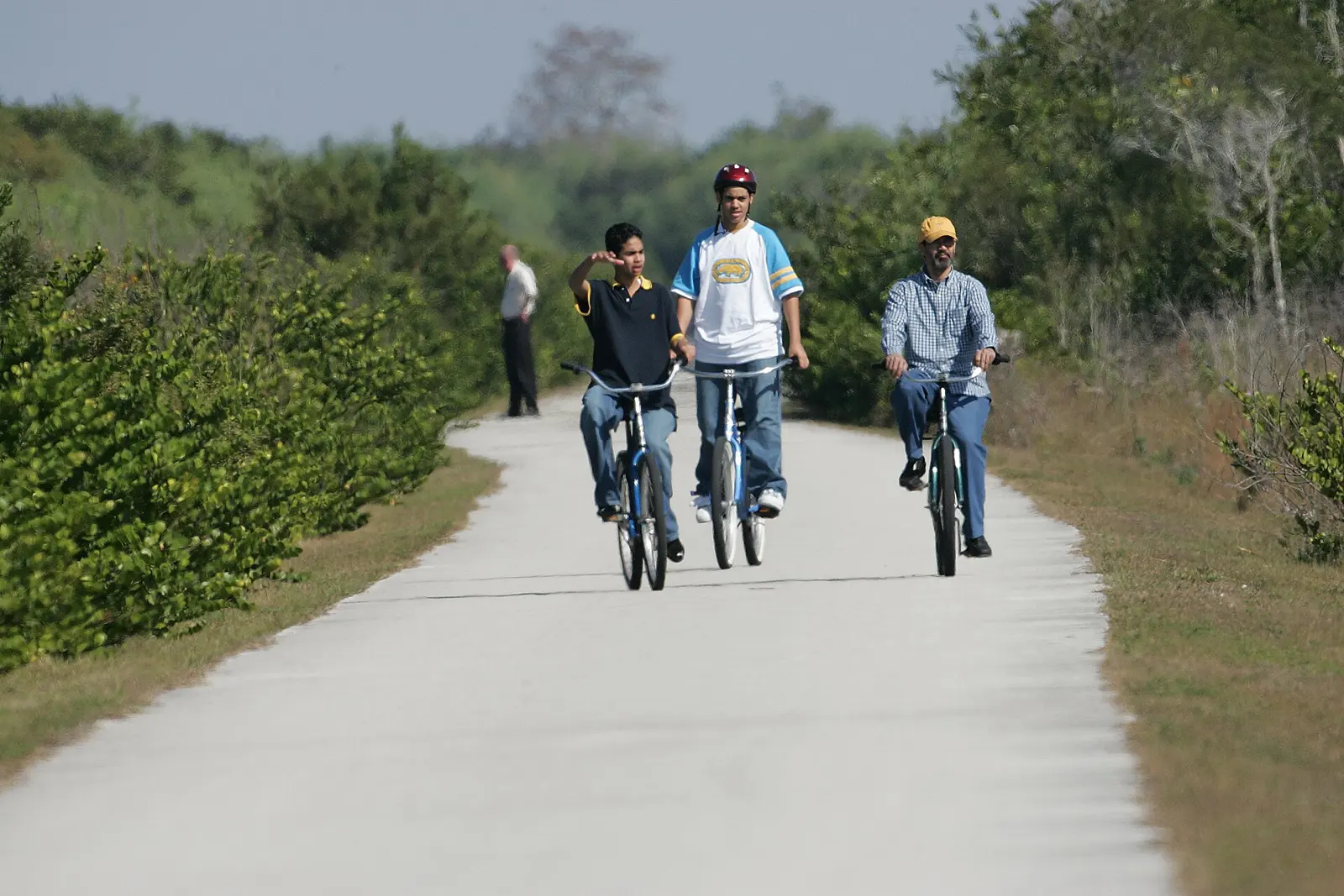 Shark Valley Tram and Bicycle Road (4), NPSPhoto