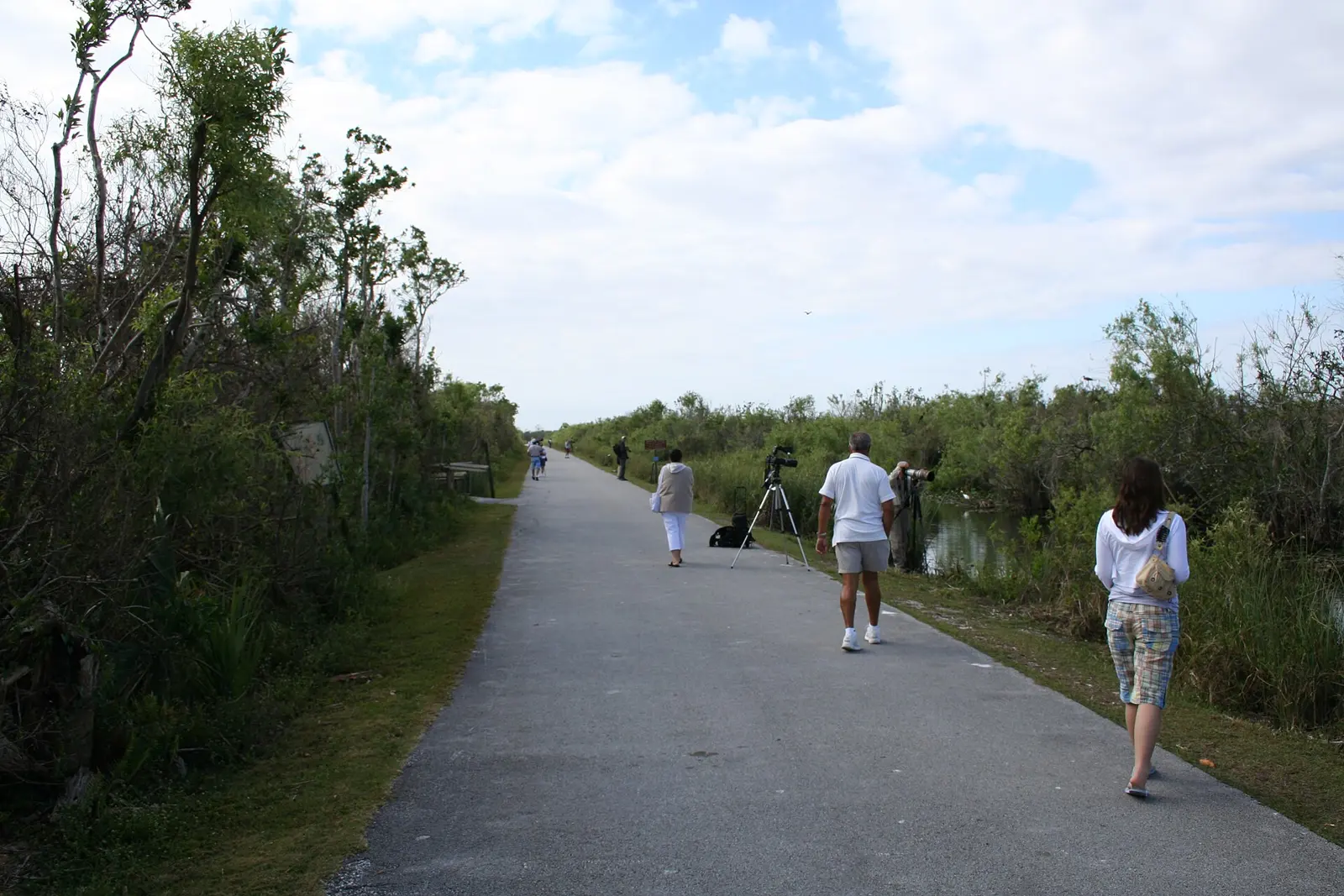 Shark Valley Tram Road and Trail (1), NPSPhoto