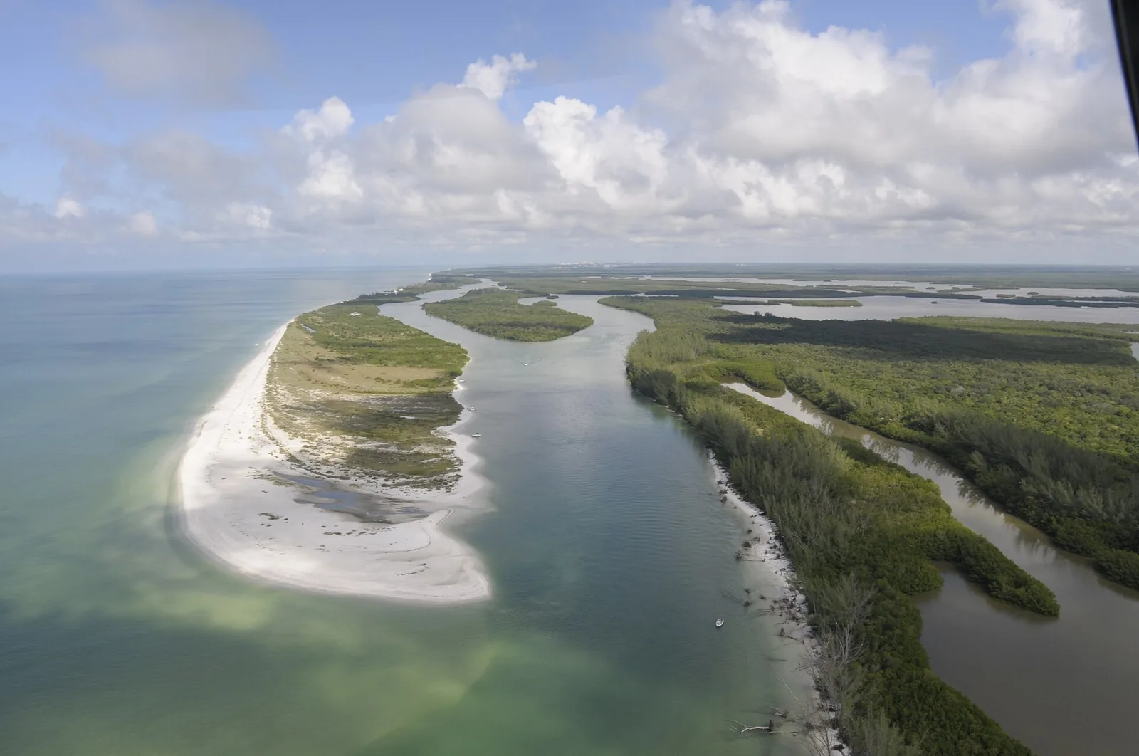Aerial view of a mangrove island in Rookery Bay, Florida